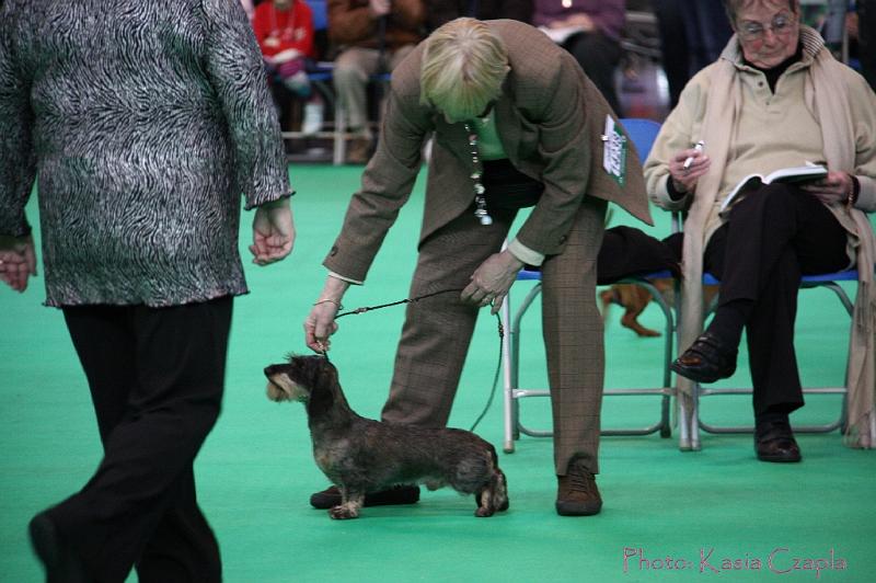 Crufts2011_2 692.jpg